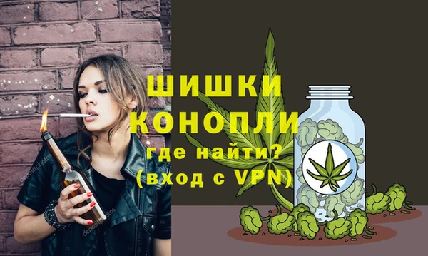 соль ск Строитель