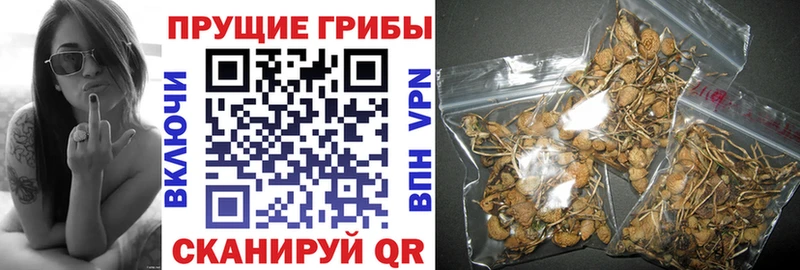 Галлюциногенные грибы ЛСД  shop телеграм  Краснотурьинск 